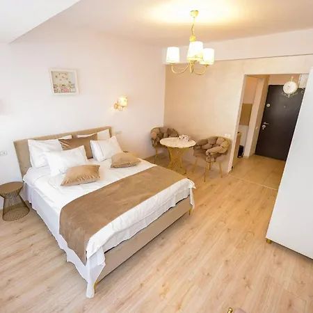 Tres Chic Elegant Retreat On Calea Victoriei Center בוקרשט