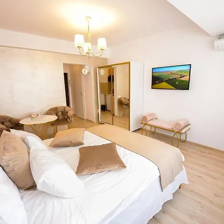 Tres Chic Elegant Retreat On Calea Victoriei Center דירה