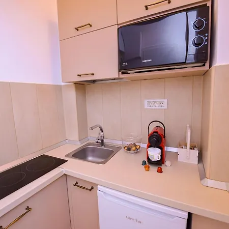 Tres Chic Elegant Retreat On Calea Victoriei Center *